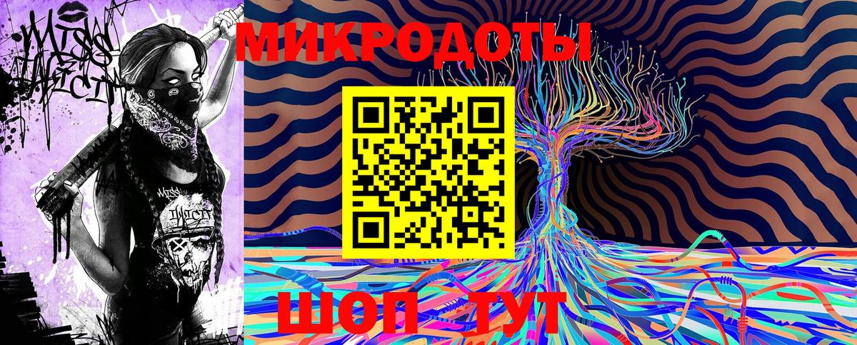 Галлюциногенные грибы Psilocybe Великие Луки
